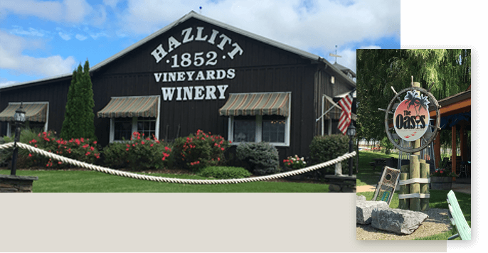 Hazlitt 1852 Vineyards, Brambleberry, Seneca Lake, 750ml