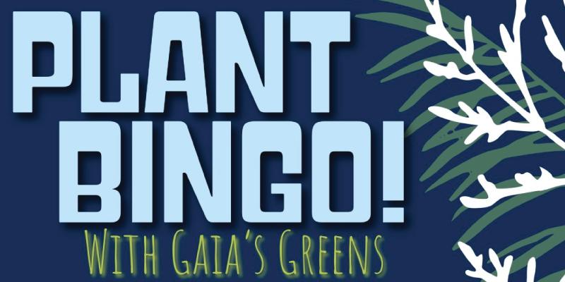 Plant Bingo! with Gaia's Greens at Hazlitt 1852 Vineyards.