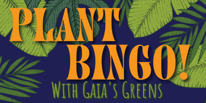 Plant Bingo with Gaia's Greens at Hazlitt 1852 Vineyards April 19, 2026