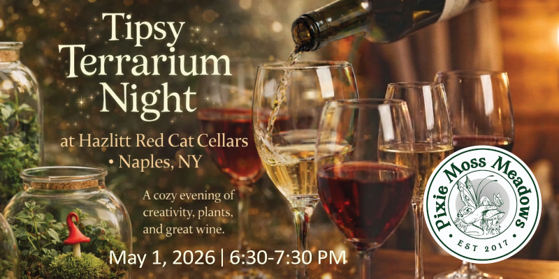 Tipsy Terrarium Night at Hazlitt Red Cat Cellars